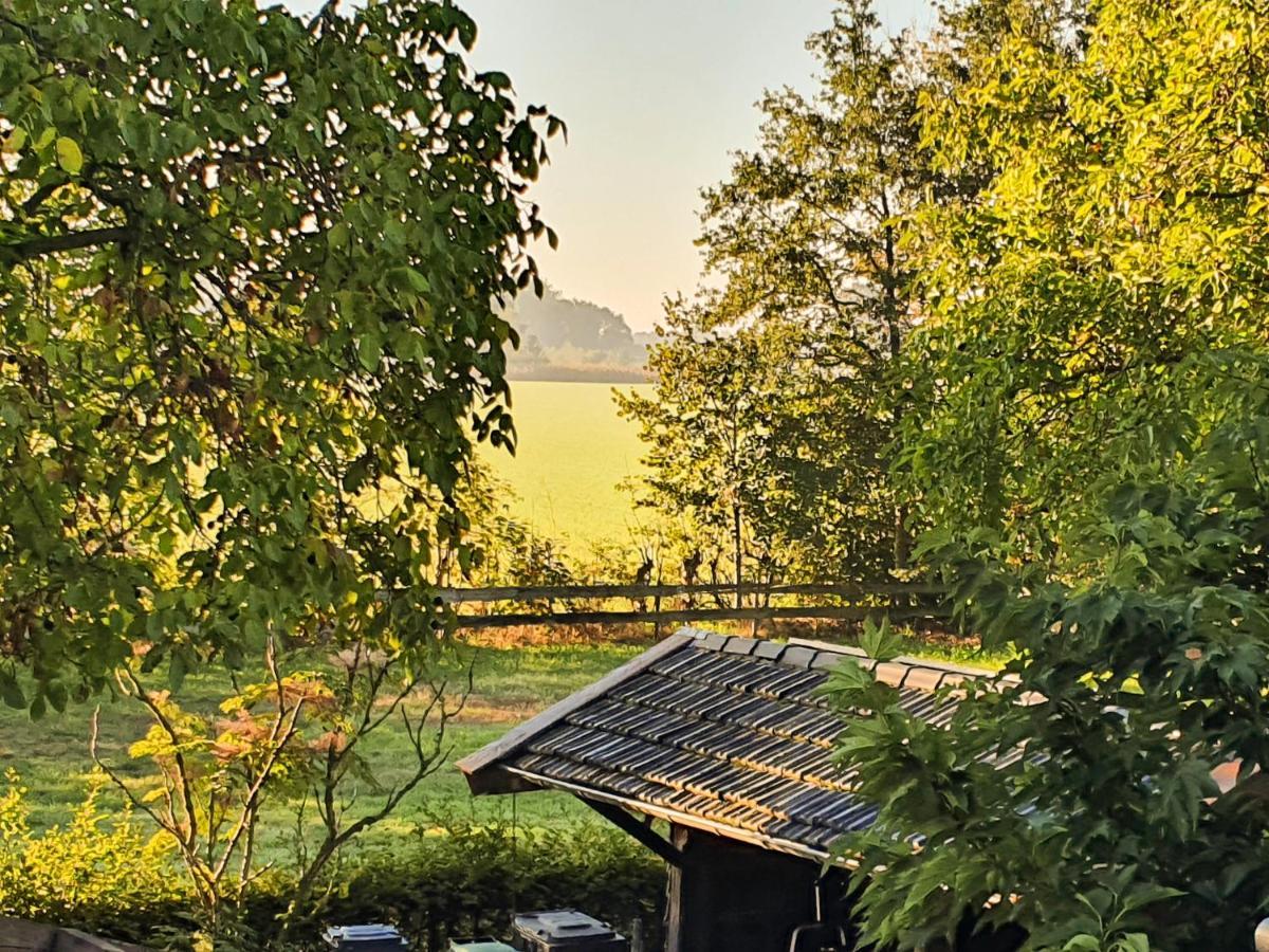 B&B De Nieuwenhof 'De Tuinkamer' Melderslo Exterior foto